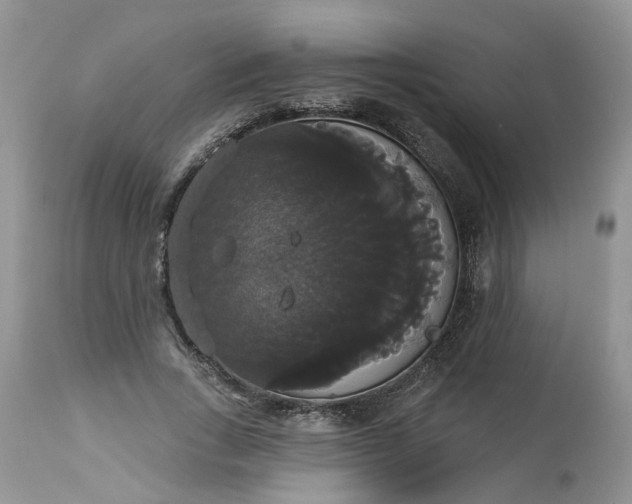 X0000113060735200909110914