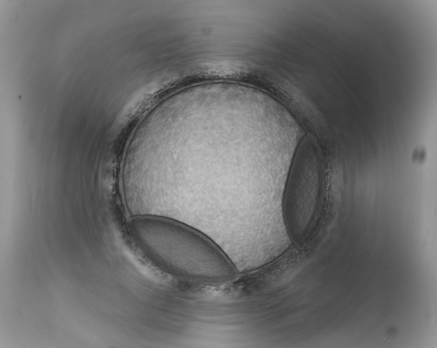X0000113060736200909110914