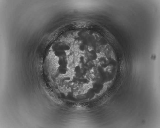 X0000113060737200909110914