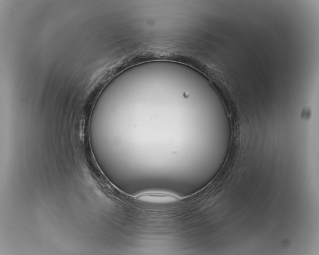 X0000113060740200909110914