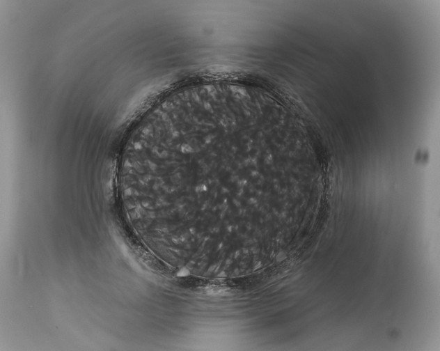 X0000113060742200909110914