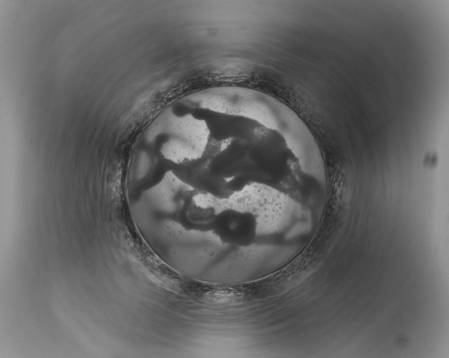 X0000113060745200909110914