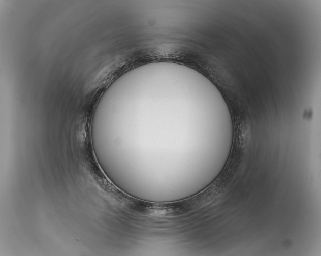 X0000113060746200909110914