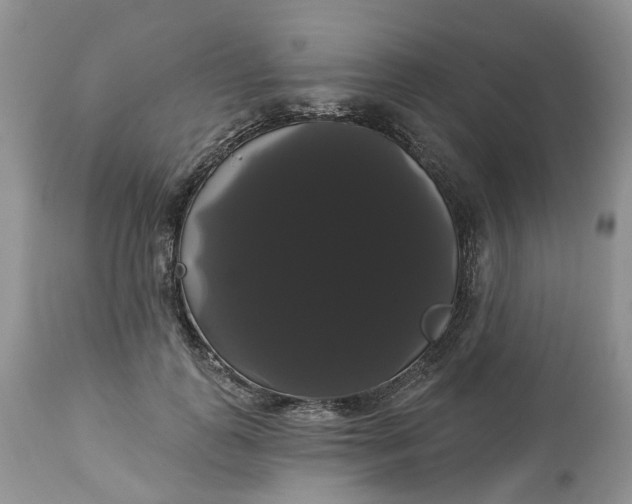 X0000113060747200909110914