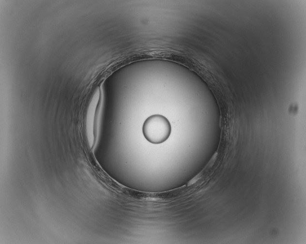 X0000113060748200909110914