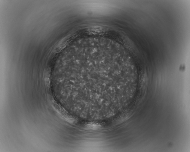 X0000113060749200909110914