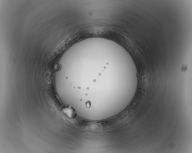 X0000113060750200909110914