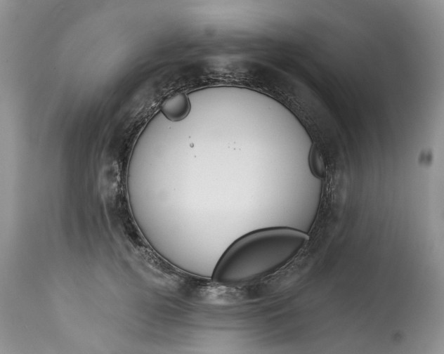 X0000113060752200909110914