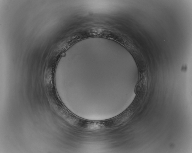 X0000113060754200909110915
