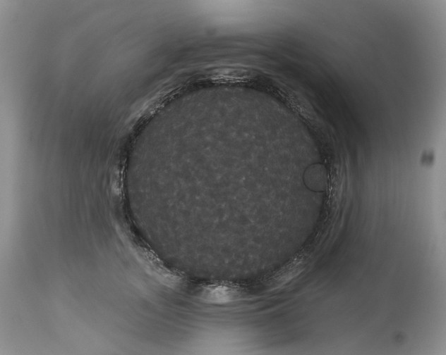 X0000113060755200909110915