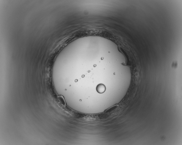 X0000113060756200909110915
