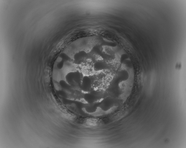 X0000113060757200909110915