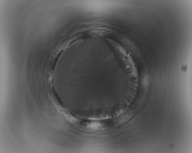 X0000113060759200909110915