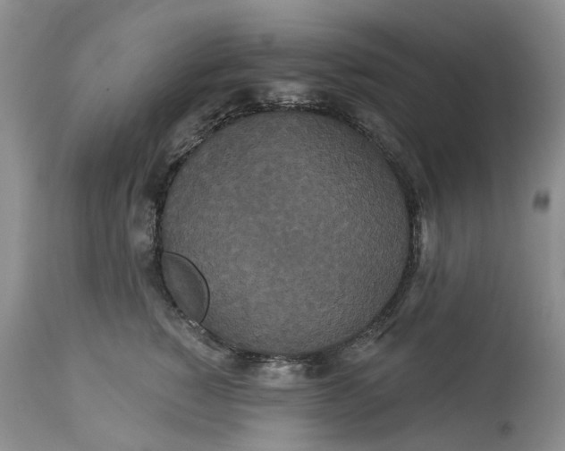 X0000113060760200909110915