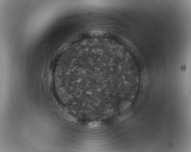 X0000113060761200909110915