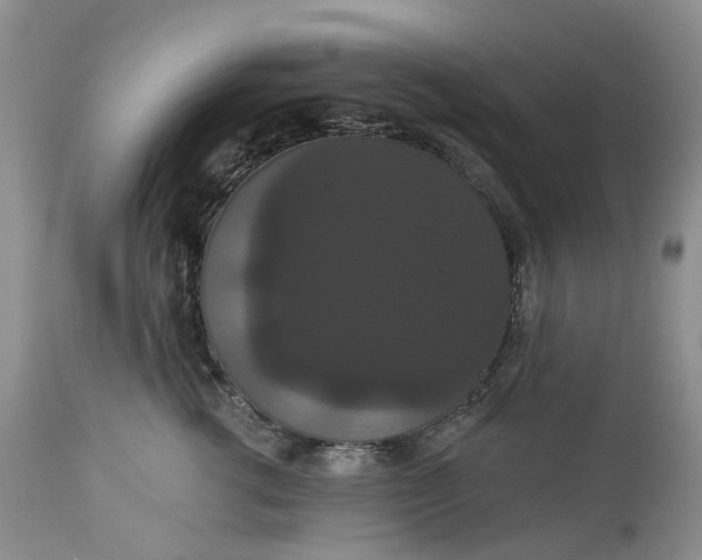X0000113060762200909110915