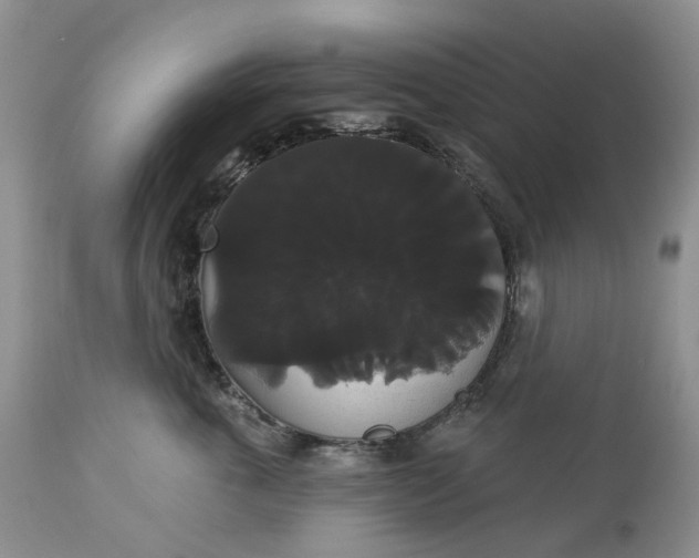 X0000113060763200909110915