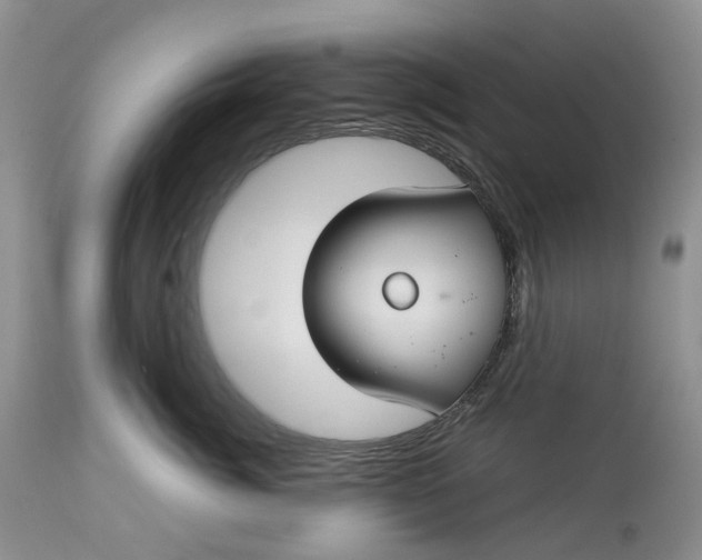 X0000113060764200909110915