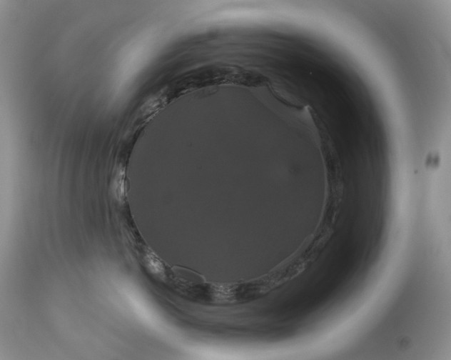 X0000113060766200909110915