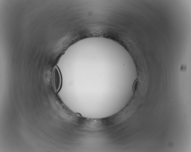 X0000113060768200909110915
