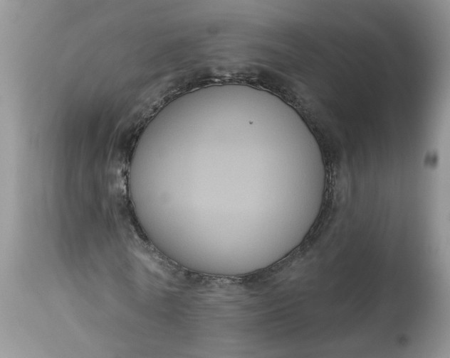 X0000113060770200909110914