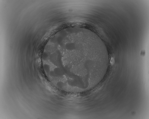X0000113060771200909110914