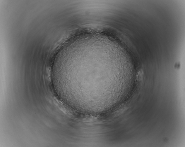 X0000113060772200909110914