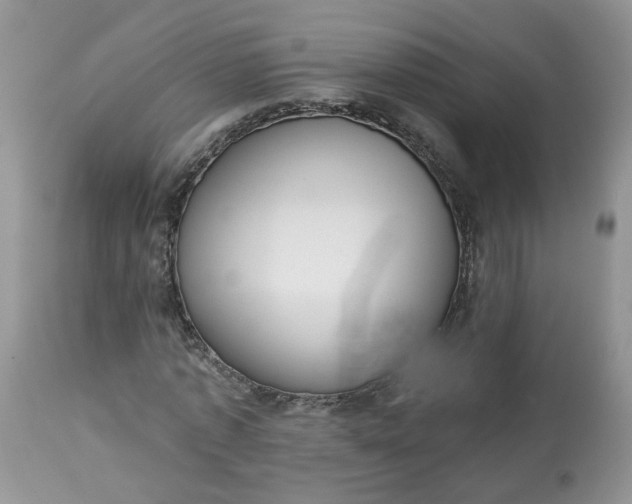 X0000113060773200909110914
