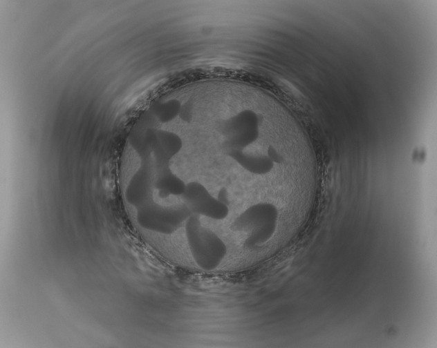 X0000113060774200909110914