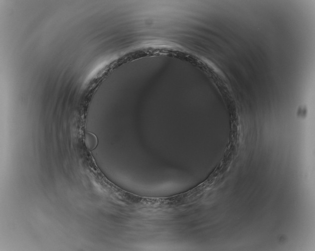 X0000113060775200909110914
