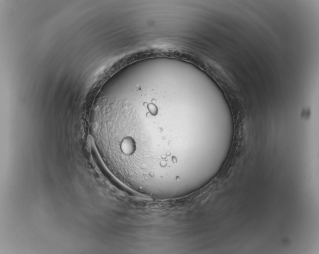 X0000113060776200909110914