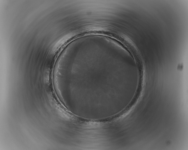 X0000113060777200909110914