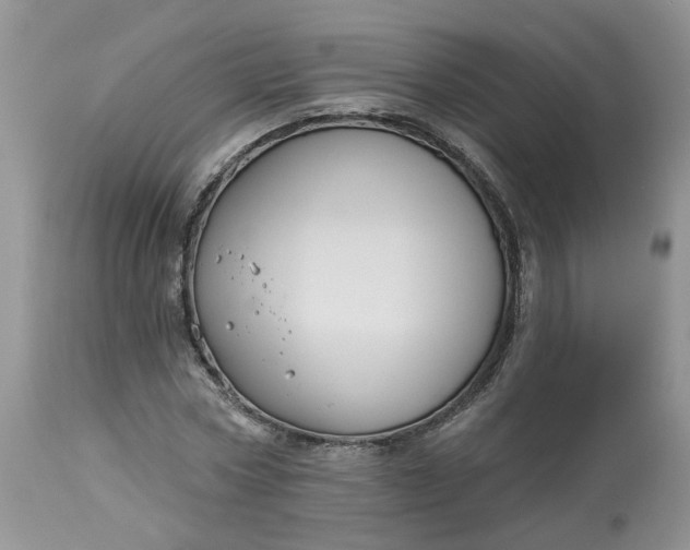 X0000113060778200909110914