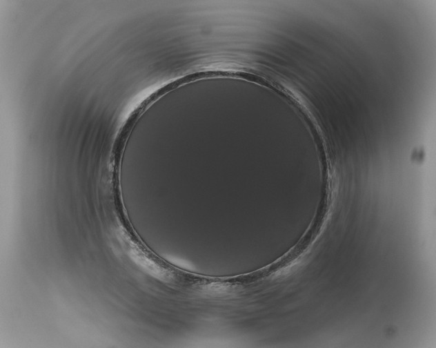 X0000113060779200909110914