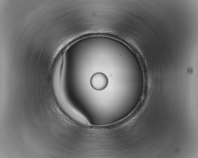 X0000113060781200909110914