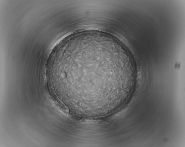 X0000113060782200909110914