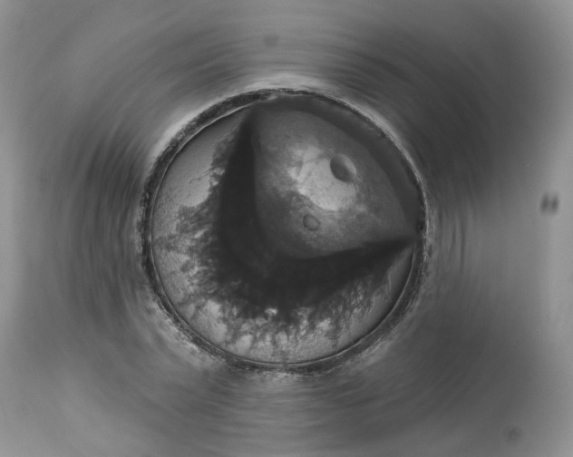 X0000113060783200909110914