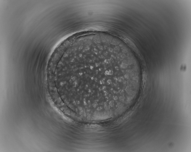 X0000113060784200909110914