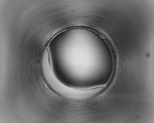 X0000113060785200909110914