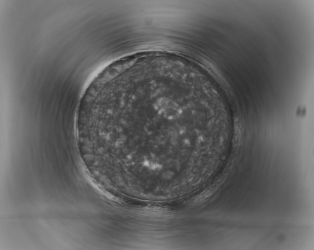 X0000113060788200909110914