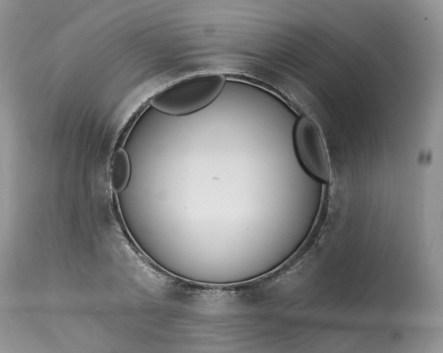 X0000113060789200909110914