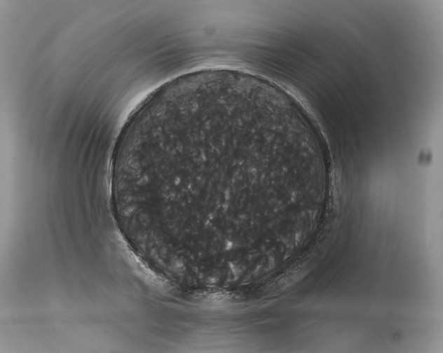 X0000113060791200909110914