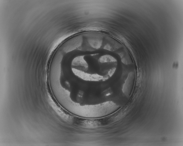 X0000113060795200909110914