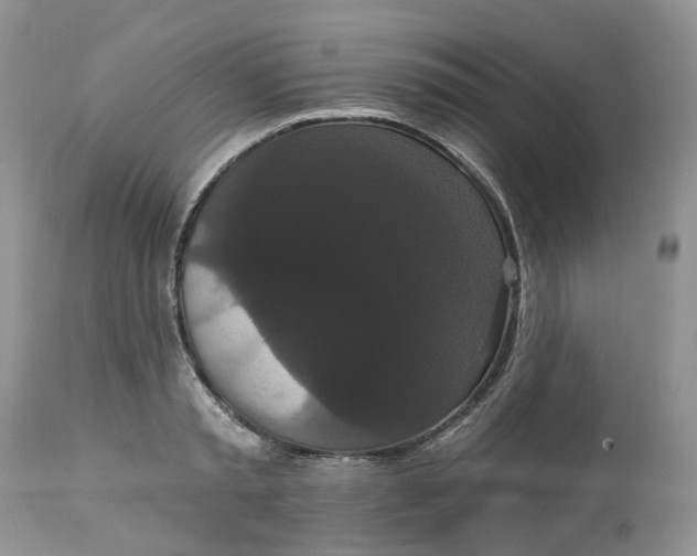 X0000113060797200909110913