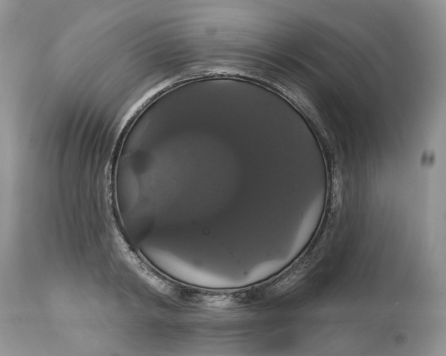 X0000113060798200909110913