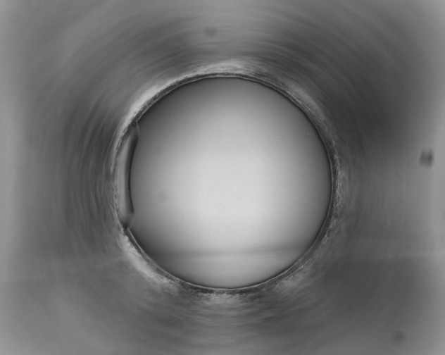 X0000113060800200909110913