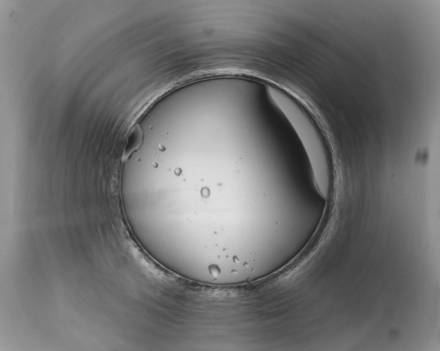 X0000113060801200909110913