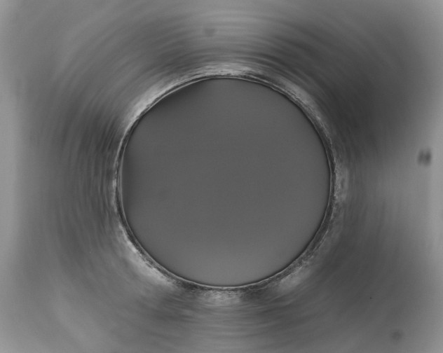 X0000113060802200909110913