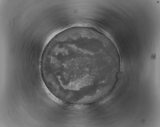 X0000113060803200909110913