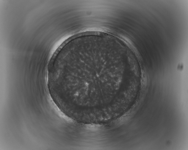 X0000113060804200909110913